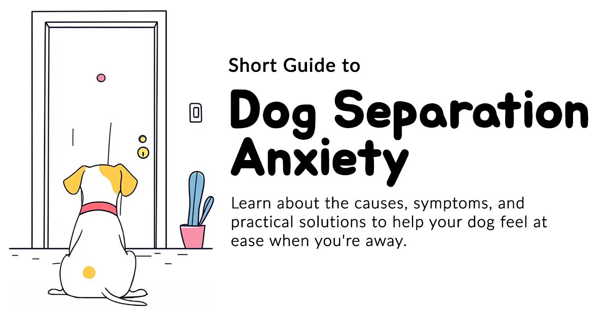Dog's Separation Anxiety Guide